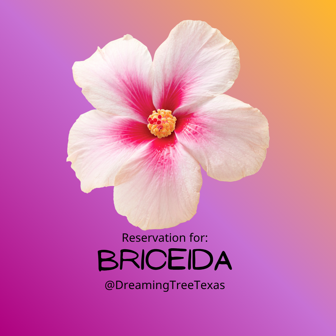 reservation for Briceida