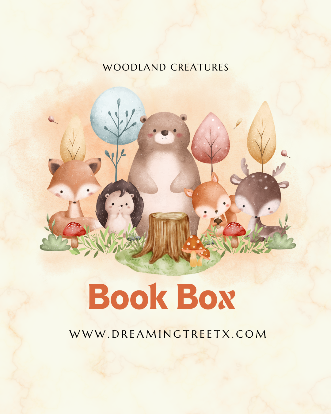 Woodland Creatures Book Box