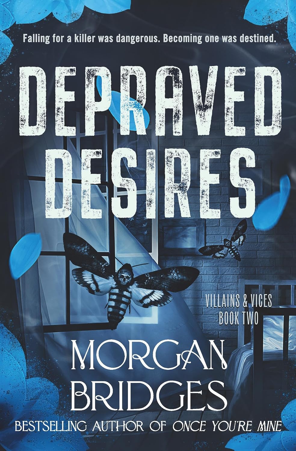 New Releases Pre-Order