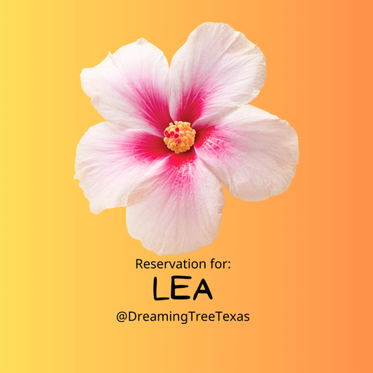 reservation for Lea - Regretting You by Colleen Hoover